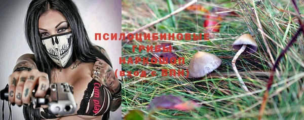 ГАЛЛЮЦИНОГЕННЫЕ ГРИБЫ Алексин