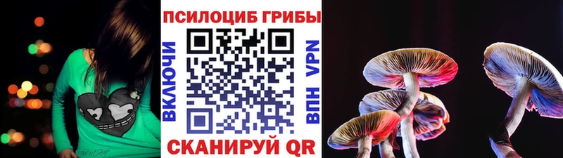 Галлюциногенные грибы мицелий  Щигры 